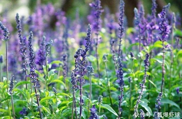 提醒:头上有螨虫的人,可能会有4种表现,别忽视了!