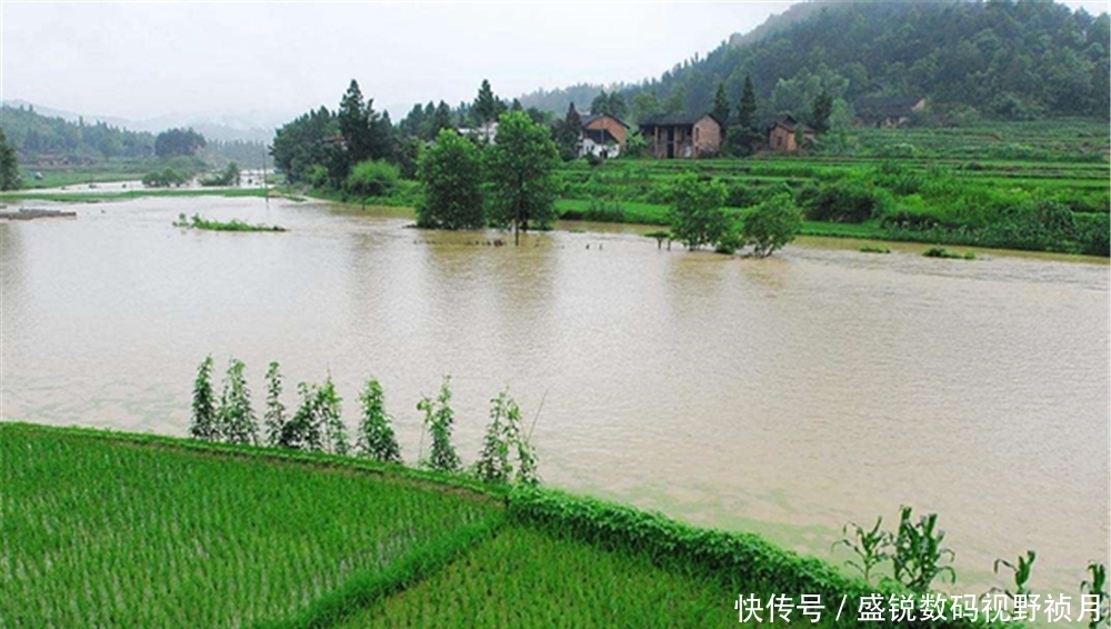 夏季|夏季钓鱼,出门之前先看“天”,遇上这些天气时,爆护的机会来了