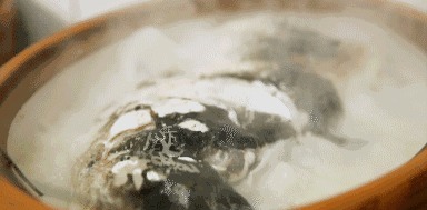 月嫂|儿媳坐月子想喝鱼汤,婆婆发朋友圈嫌她矫情,儿子怼的话让人痛快