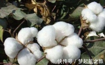 大姨妈|古代没有卫生巾，女人如何度过生理期由大姨妈而引发的悲剧！