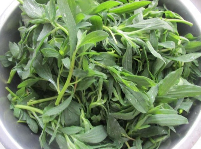 七月多吃这应季菜,包饺子正合适,鲜香美味又便宜,1块钱3斤!