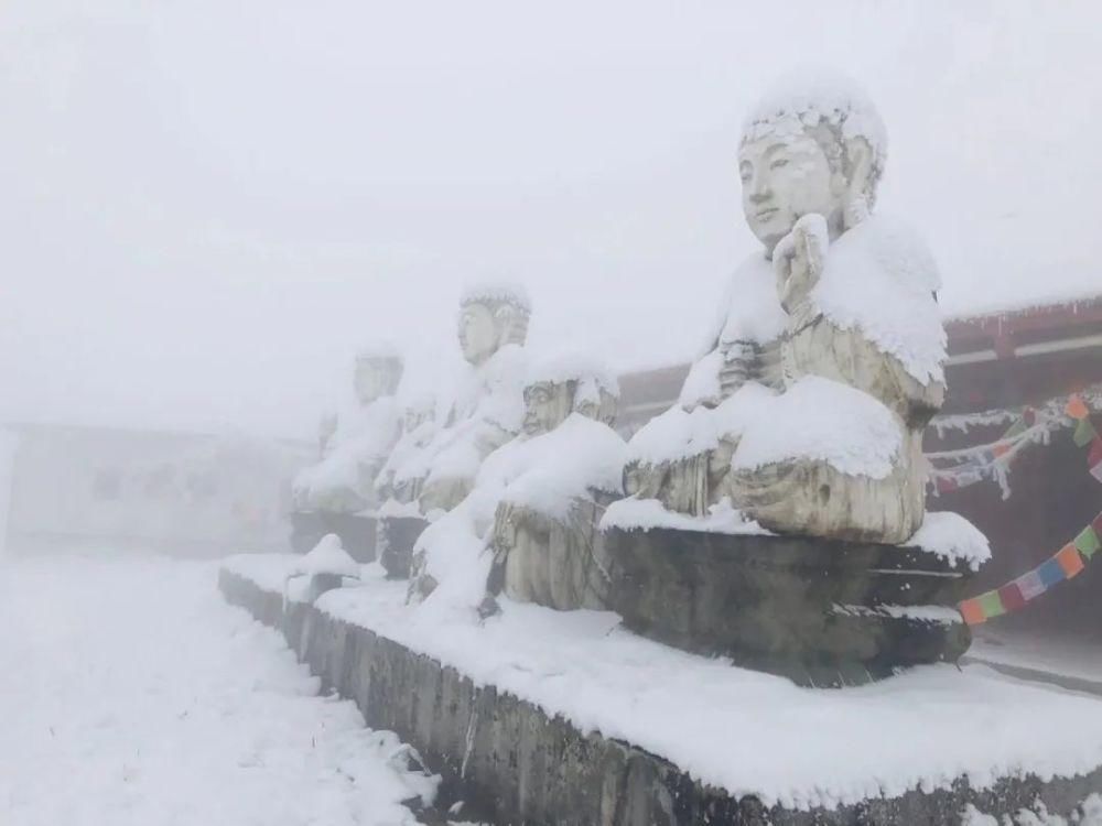 一大|德阳各地雪景美照大曝光！隔壁城市都羡慕哭了！一大波视频照片……