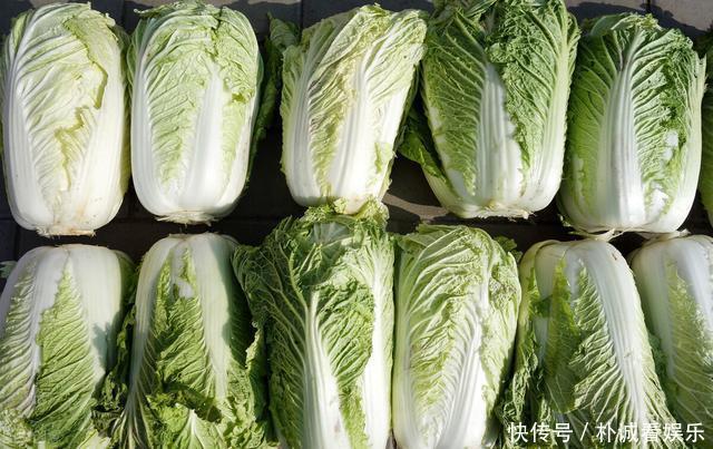 大白菜别直接放地上保存,教你1招保鲜方法,买多了也不怕坏