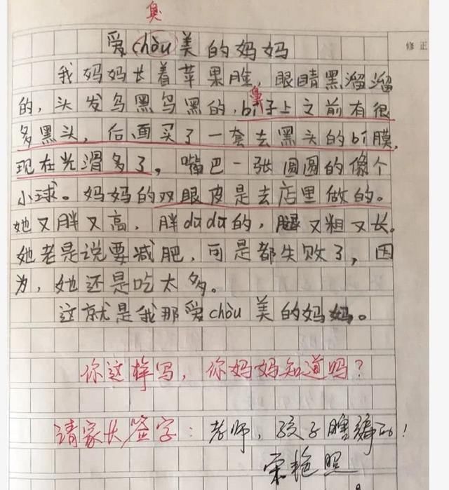 当小学生作文不再凑字，仅26个字，就让网友看到了不同的画面