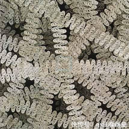 把我们的皮肤放大一亿倍,最后“超乎想象”