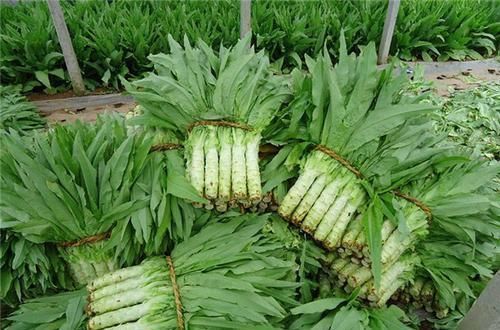 食物|睡眠不好的人，不妨多吃这5种食物，让你倒头就睡，一夜好梦