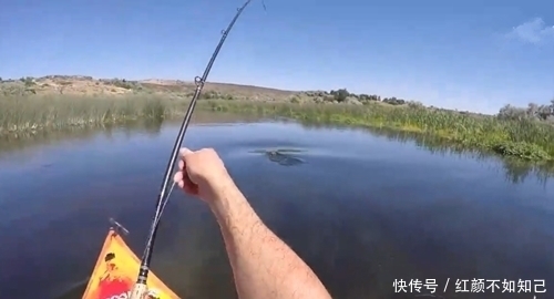 钓到大鱼，鱼挣扎时钻进水草里卡住了，扒开水草就得到，真羡慕