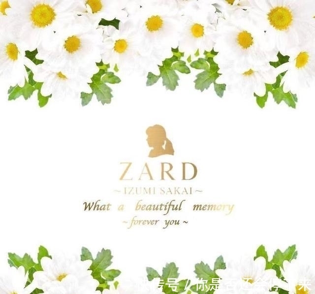 名侦探柯南 坂井泉水逝世14周年忌日 网络献花特设页开放 全网搜 名侦探柯南 坂井泉水逝世14周年忌日 网络献花特设页开放 全网搜