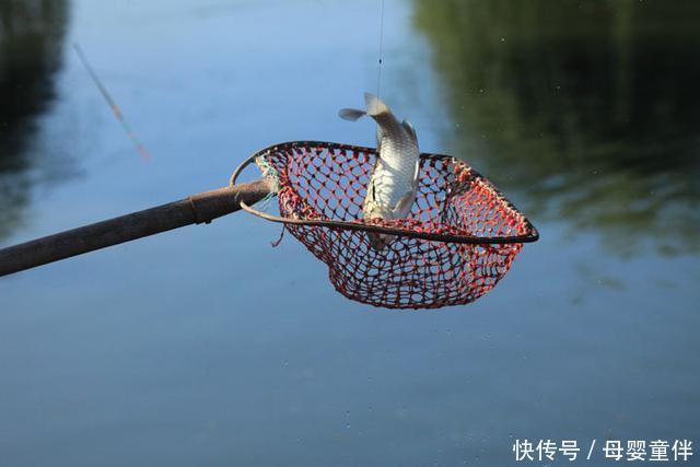 又到钓鲫鱼的时节了，及时更换钓组以免错过爆护良机