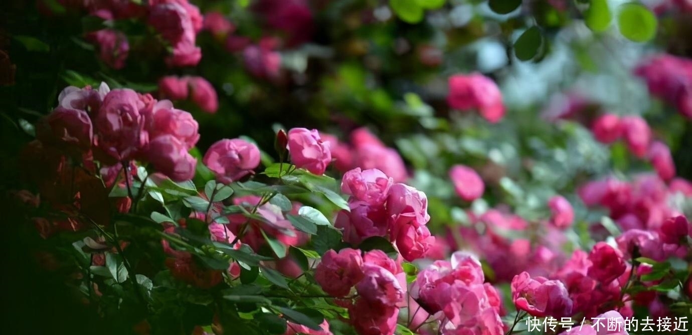 不好惹|处处示弱的人,往往实力很强,不好惹