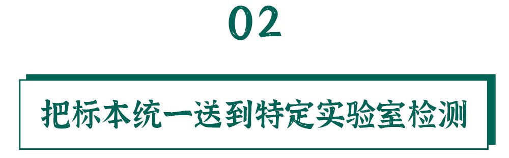 采样|核酸的检测有多麻烦？看完我都不好意思催结果了