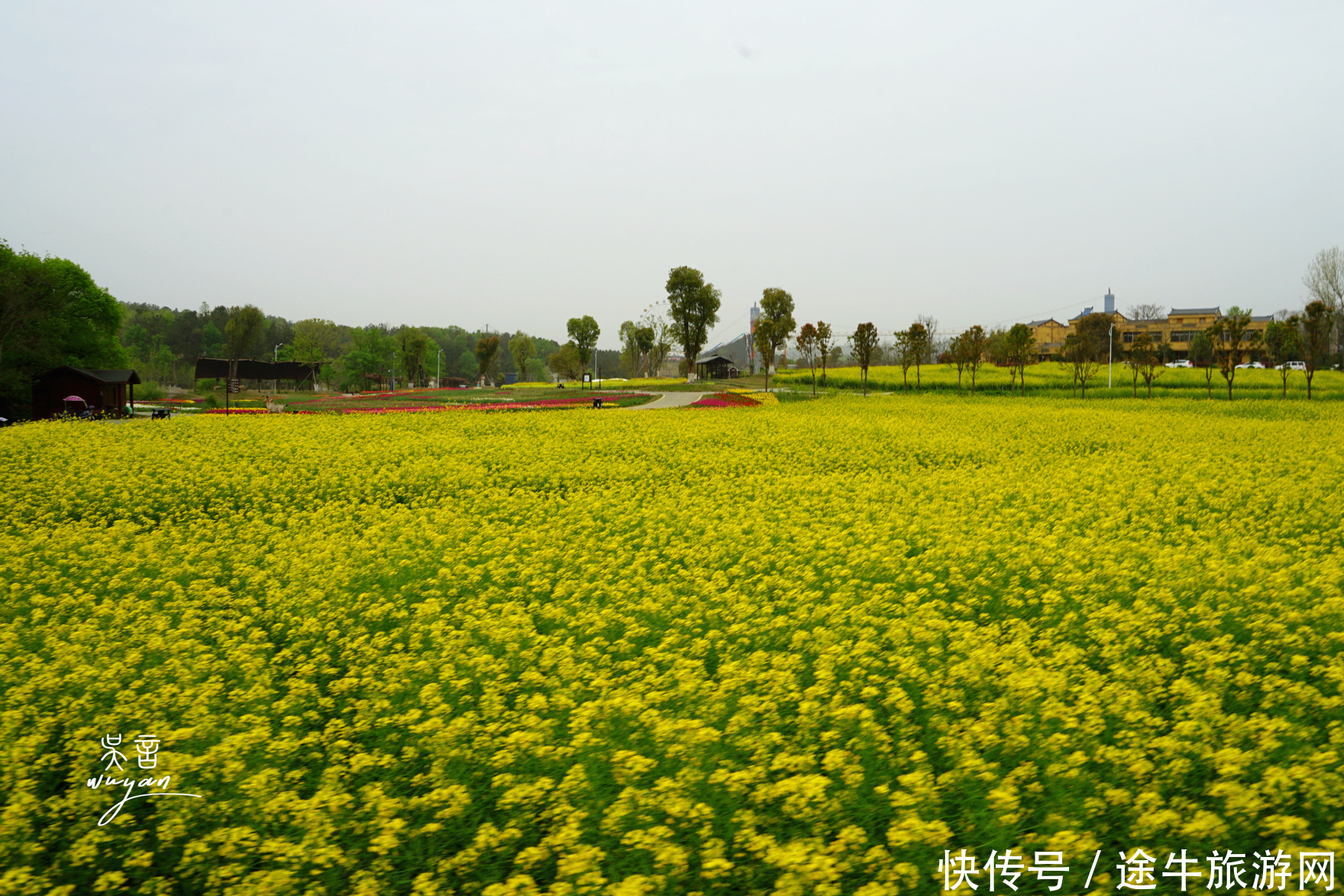 武汉这个地方和花城一样，365天，天天有花赏