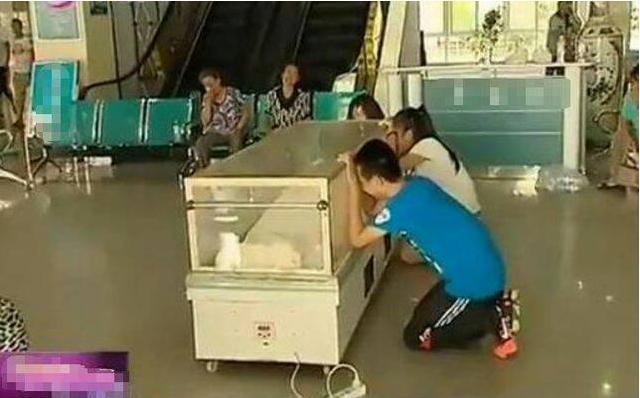 医生|19岁孕妇怀胎11月未产子，医院检查过后医生骂老公太无知！