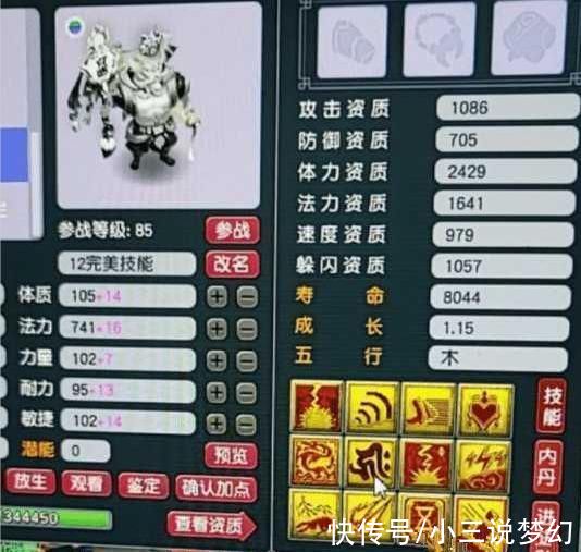 牡丹|梦幻西游:梦幻中最励志的NPC，从宝图强盗摸爬滚打成了飞贼首领