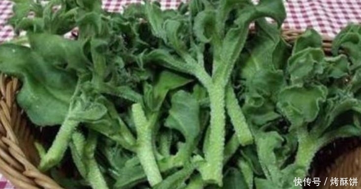 女人吃了都说好的食物,不要错过花,排毒抗衰,减肥消脂,显年轻