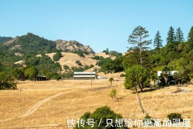 日式|中产阶级最爱的3套山林美宅,终于知道有钱人为什么喜欢乡村了!