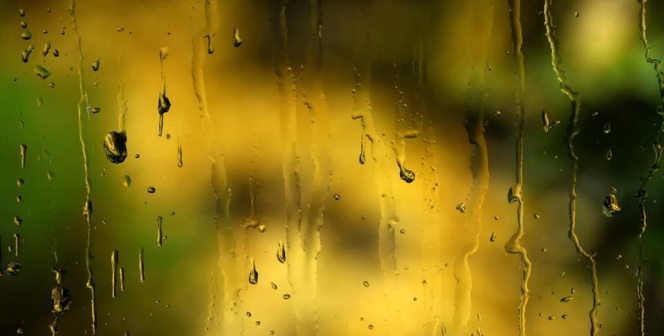 雨滴|一场春雨一场暖,春雨怎么拍才有味这些作品给你灵感