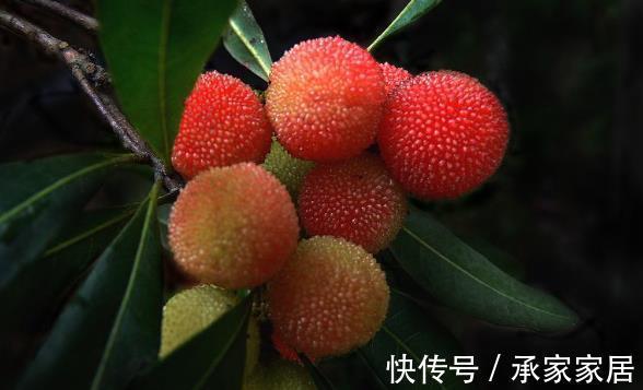 子宫肌瘤|以下4物是子宫肌瘤“大冤家”，女人多吃点，有助活血化瘀消肌瘤