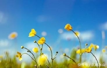 十五首描写小草的古诗词,为君闲暇助兴,茶余饭后解闷