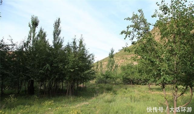 沟探|宣化宝石沟探宝 九百年古塔见证沧桑岁月