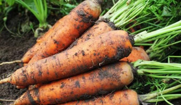 肝不好的人，坚持多吃4种食物，排出毒素，肝会变得越来越好