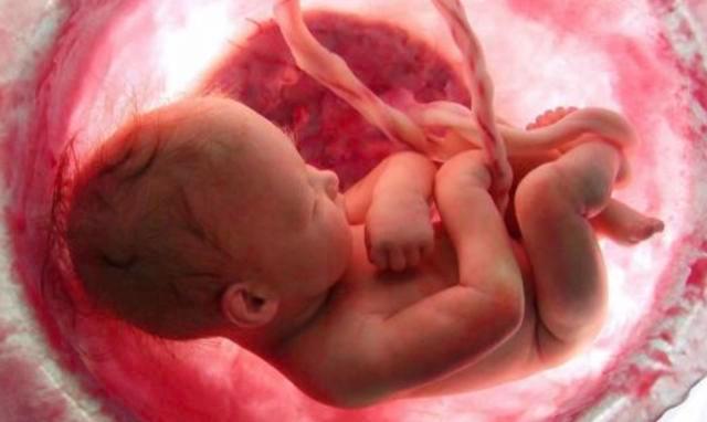 wifi|“我怀孕了,把你家wifi关了。”孕妇怕辐射敲遍邻居门,回复成亮点