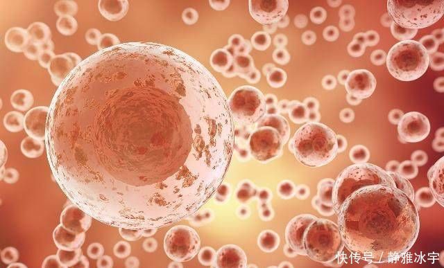 受精卵成功着床的那刻,女人可能会有这4个感受,快看看你中了吗