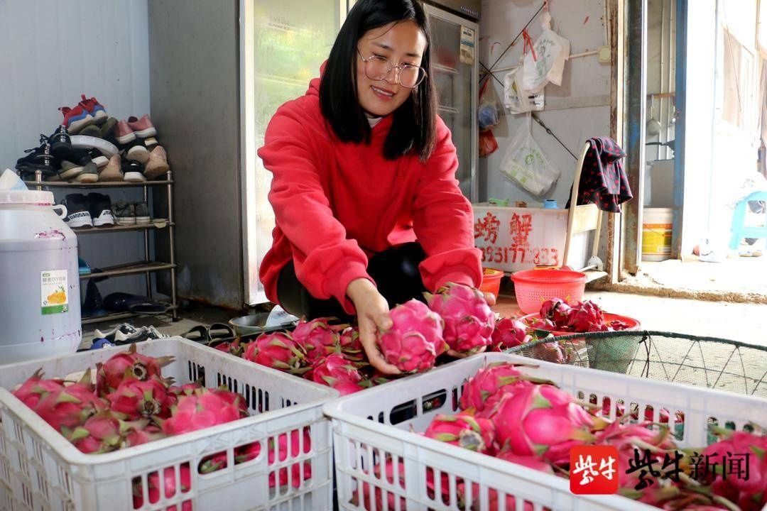 江苏|今天你快递了吗？1至10月，江苏完成快递业务量53.6亿件