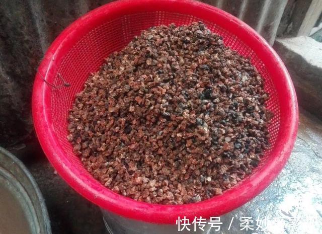 透水|养花营养土不用买,4种材料搭配起来,松软又肥沃,养啥花都旺