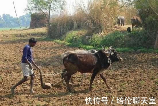 水浒传@《水浒传》中明显的一个错误,当时的好汉都为它吹牛
