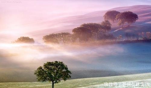 张若尘|《万古神帝》聊聊最近的八卦