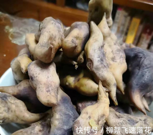 微山湖的大菱角大丰收了，大家来看看怎么吃口感才最好！