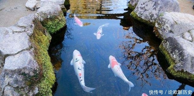 世人皆知“水至清则无鱼”,却不知还有下半句,古人的处世哲学