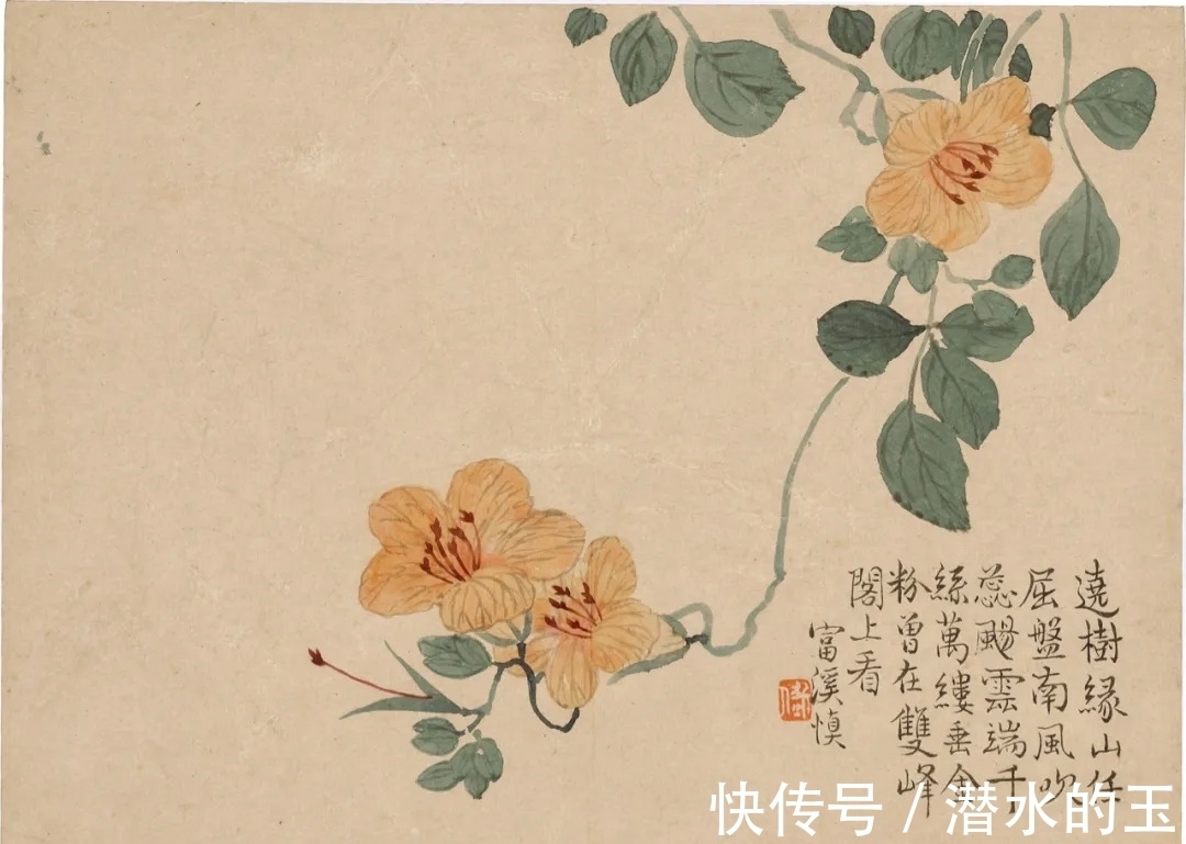 花卉图$汪士慎:一生心事为花忙丨私享艺术