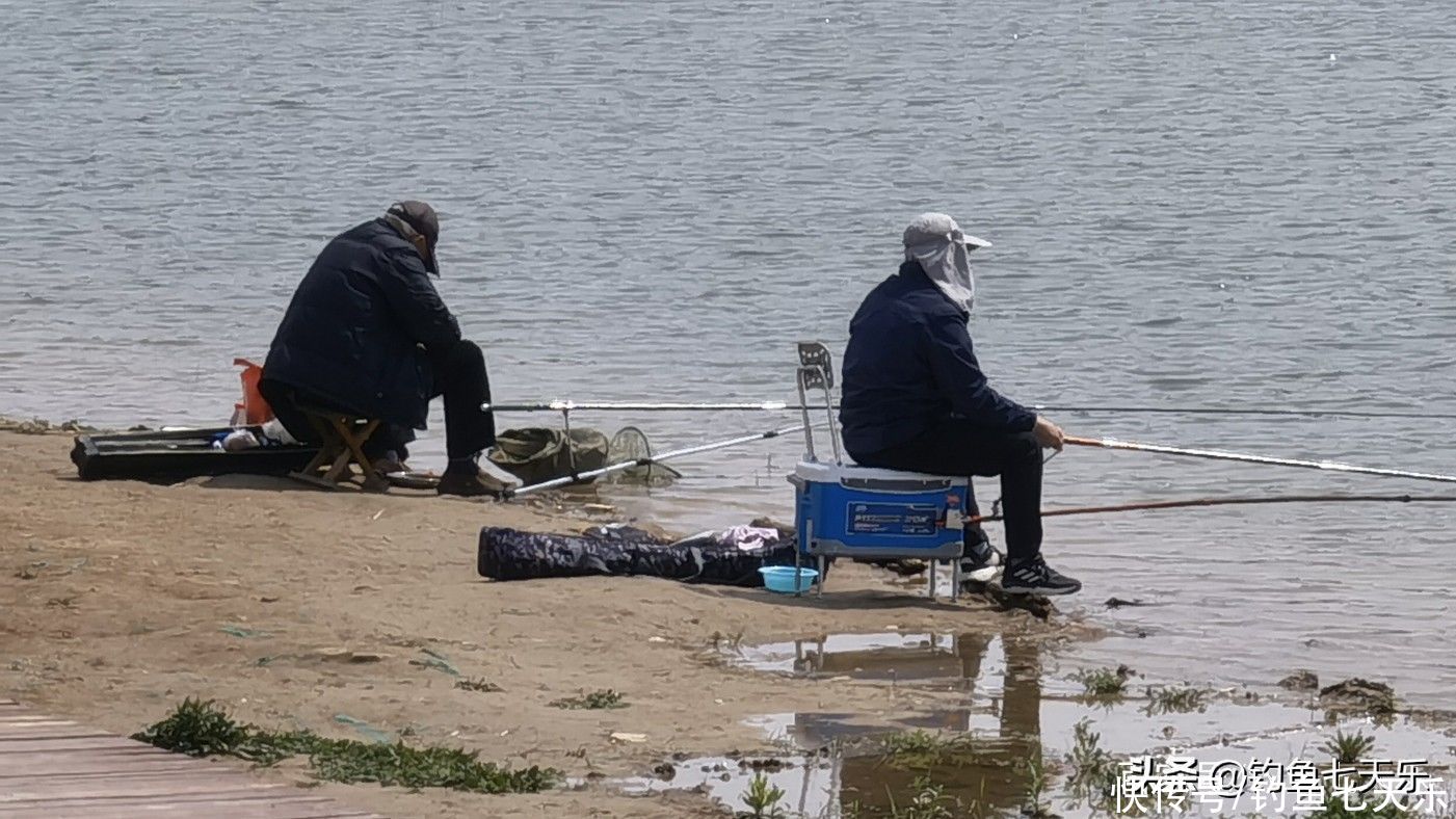 到处不让钓鱼，郑州却做出了榜样！河道划定垂钓区，钓友直呼过瘾