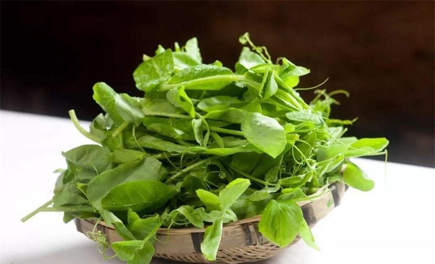 营养|想长寿得会吃,4种食物隔三差五吃,营养丰富,美容养颜,试试吧