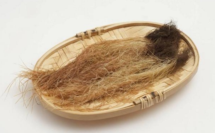 当归|4种药材和黄芪一起泡水喝，不仅能补血祛湿，肝肾也要感谢你