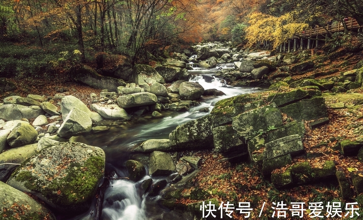 胡杨林|适合金秋季节出行的八大景点，秋色美游客少，11月就这样安排吧