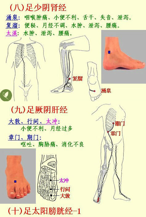 按摩|经络养生，给你意想不到的效果！