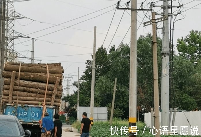 赣榆|赣榆易居学府东侧地块开始伐树平整土地,准备土拍开发的节奏?