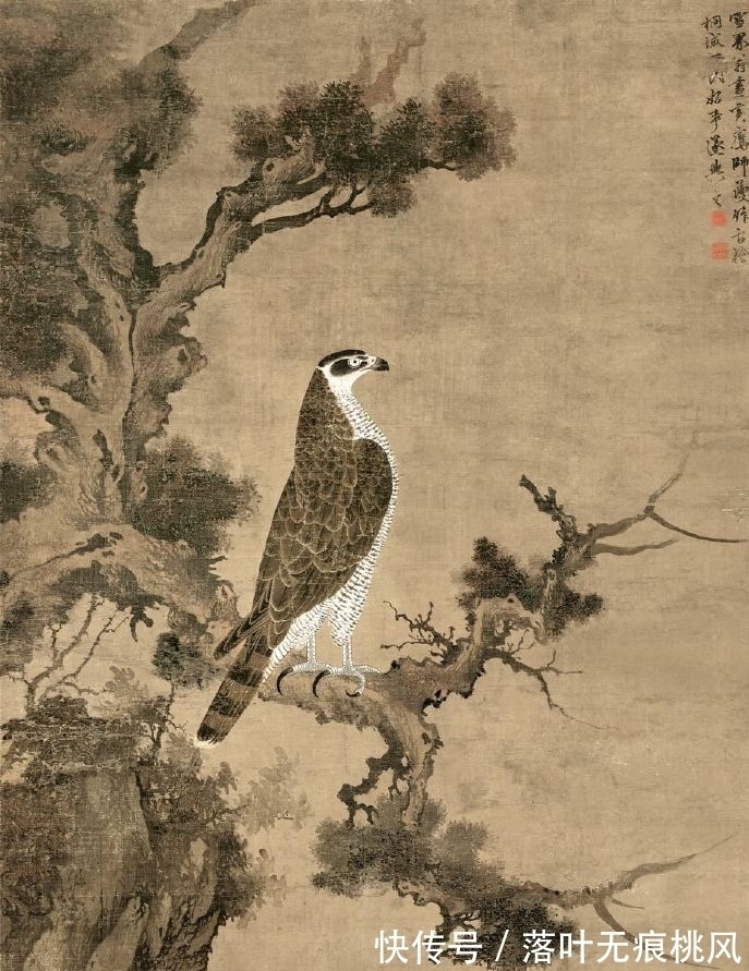 作品&650年前的《柏鹰图》,用笔工细有特色,是古代国画的代表作品