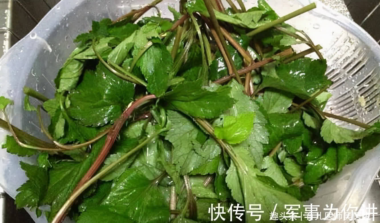 珍珠菜|想肌肤好,秋天多吃的食物,肌肤白嫩,改善肠胃不适,更年轻