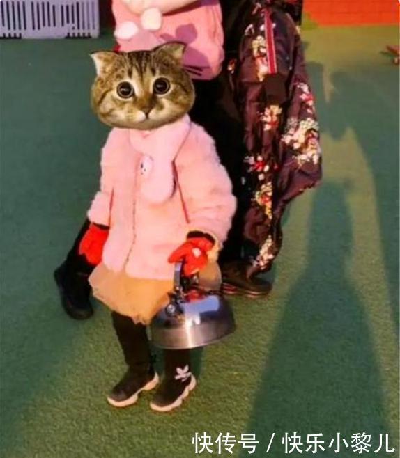 孩子|“奶奶,老师让带多肉上学”,孩子粗心传错话,老师忍不住笑出声