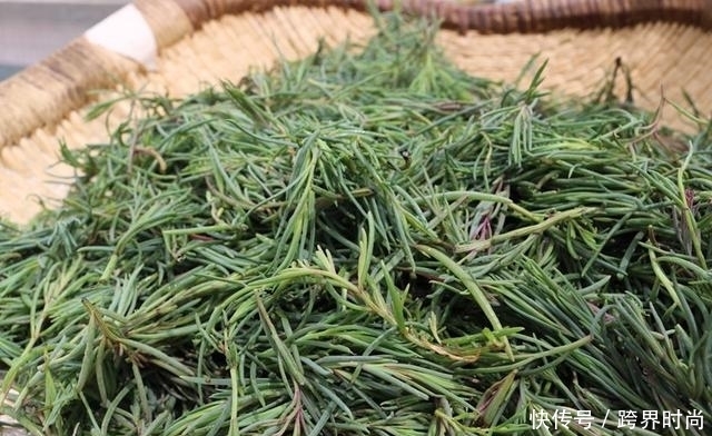 排毒|此种野菜自带海鲜的味道,排毒缓解便秘还预防肠癌,你值得拥有