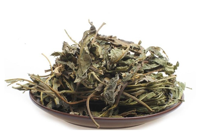 肺热|人到中年,血液变得浓稠咋办常用这种叶子泡水喝,更护血管