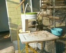 |搞笑GIF:趁还没娶回家,大哥赶紧退婚吧,为你好!