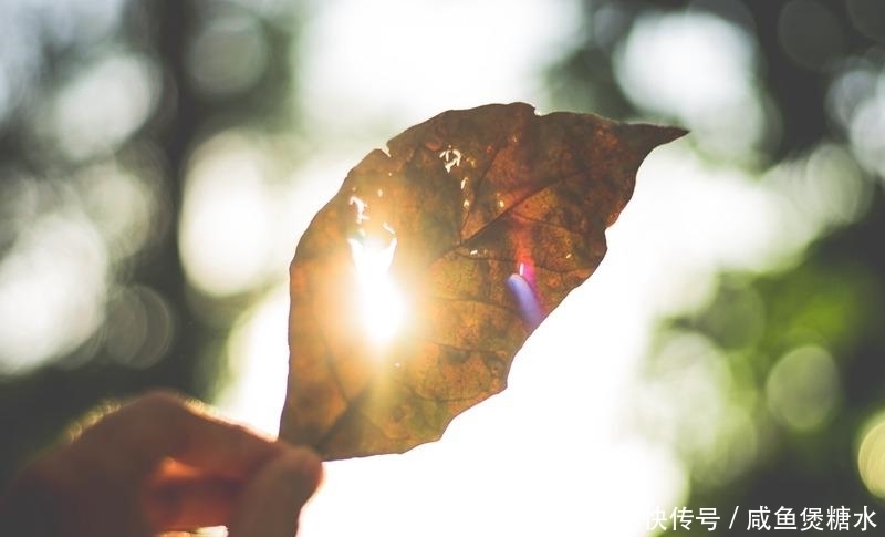 寡,是一个人最智慧的活法