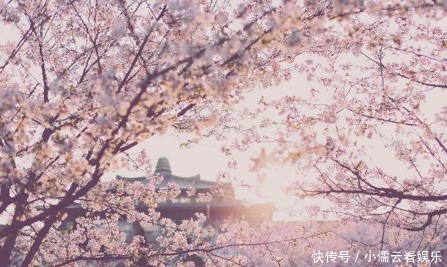 大唐|阳春三月,春回大地,三月赏花好去处