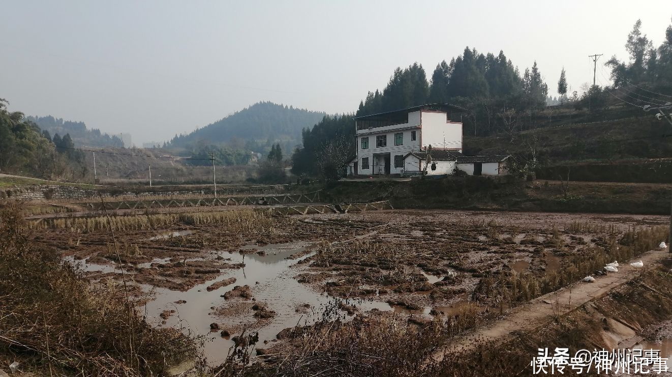 乡村冬闲田，一道靓丽的风景！