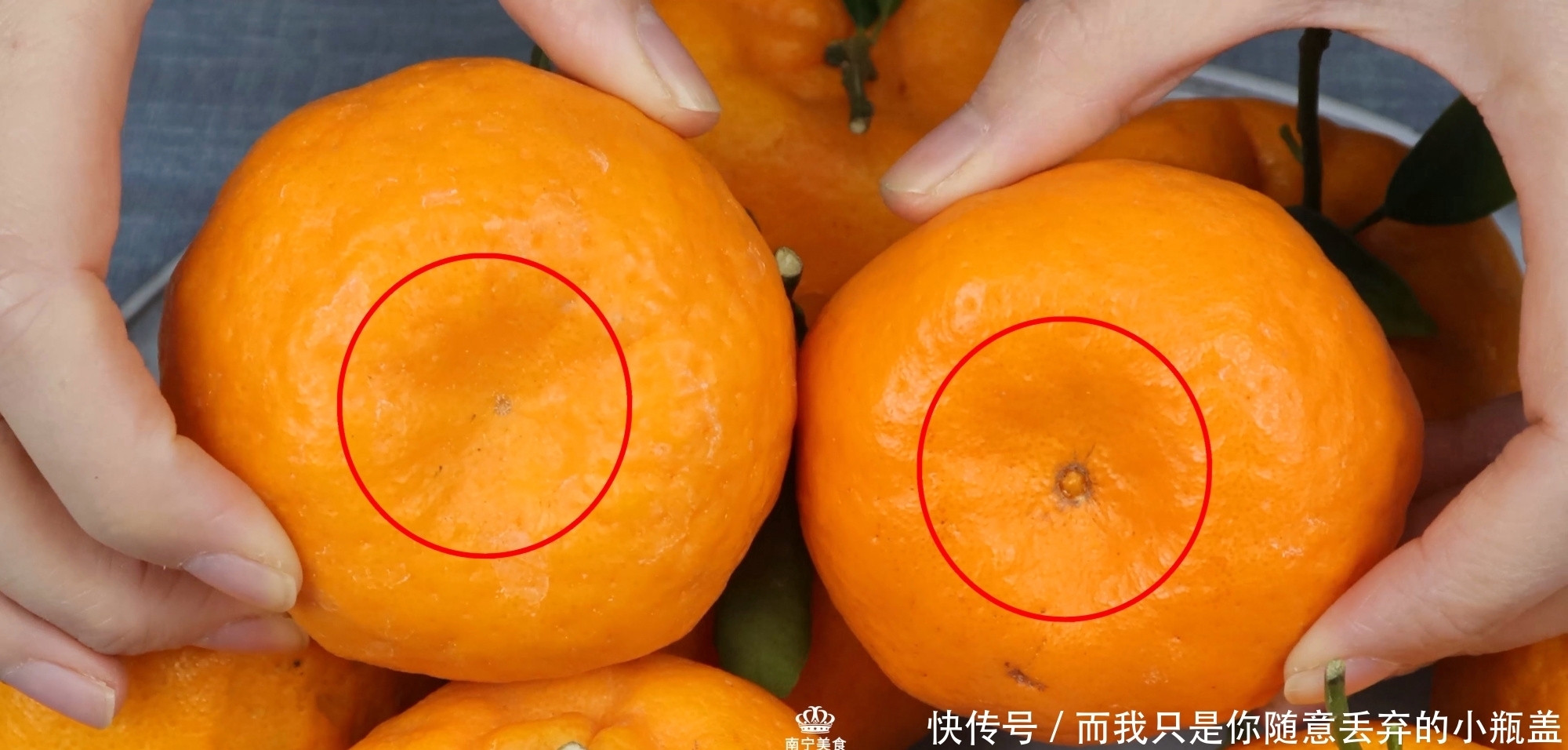 买丑橘要挑“母”的才好吃,教你5个挑选方法,学会后一挑一个准